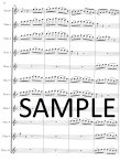 Bartered Bride Overture, The