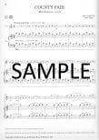 Bartok for Flute