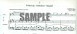 Bartok-Transcriptions for Music Students