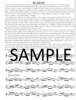Beatbox Flute Method Book (v.1)