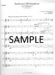 Beethovens 9th Symphony (In 5 Minutes)