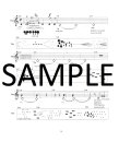 Behaviours for Flute and Electronic Sounds (includes backing CD)