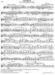 Bernstein for Flute