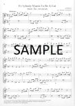 Best Flute Duet Book Ever!, The
