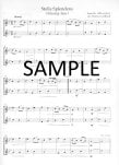 Best Flute Duet Book Ever!, The