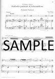 Best of Flute Classics-10 Famous Pieces