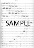 Bird House for Flute Nonet