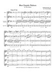 Blue Danube Waltzes