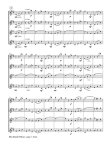 Blue Danube Waltzes