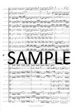 Brandenburg Concerto #2 (BWV1047)