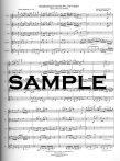 Brandenburg Concerto #2 in F (sc&pts)