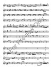 Brandenburg Concerto #2, Movement 1