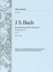 Brandenburg Concerto #4(BWV1049)