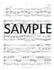 Brandenburg Concerto #5
