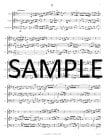 Brandenburg Concerto #5