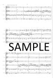 Brandenburg Concerto #6