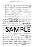 Brandenburg Concerto #6