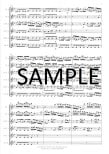 Brandenburg Concerto #6