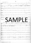 Brandenburg Concerto #6