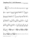 Bravo! Flute -Playalong Symphonic Themes (with CD)