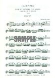 Cadenzas for Haydn Concerto in D