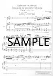 Cadenzas for Mozart Flute and Harp Concerto