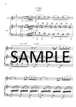 Cadenzas for Mozart Flute and Harp Concerto