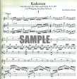 Cadenzas for the Mozart Concerto