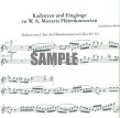 Cadenzas & Lead-ins for Mozart Flute Concertos