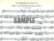 Cadenzas to 18th Century Flute Concertos