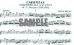 Cadenzas to Mozart Concerti (K313, 314, 315)