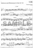 Cadenzas to Mozart Concerti (K313, K314, K315)