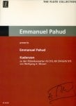 Cadenzas to Mozart Concerti (K313, K314, K315)