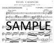 Cadenzas to Mozart Concerto 2 in D (K314/285d)