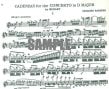 Cadenzas to Mozart Concerto 2 in D (K314/285d)