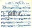 Cadenzas to Mozart Concerto 2 in D (K314/285d)