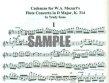 Cadenzas to Mozart Concerto 2 in D (K314/285d)