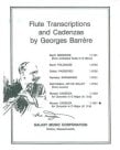Cadenzas to Mozart Concerto 2 in D (K314/285d)