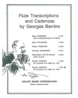Cadenzas to Mozart Concerto 2 in D (K314/285d)