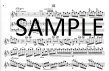 Cadenzas to Mozart Concerto 2 in D (K314/285d)