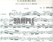 Cadenzas to Mozart Concerto 2 in D (K314/285d)