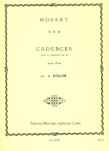 Cadenzas to Mozart Concerto 2 in D (K314/285d)