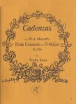 Cadenzas to Mozart Concerto 2 in D (K314/285d)