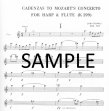 Cadenzas to Mozart Concerto in C (K299)