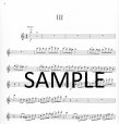 Cadenzas to Mozart Concerto in C (K299)