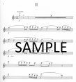 Cadenzas to Mozart Concerto in C (K299)