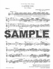 Capriccio Op82 #3 (Parts Only)
