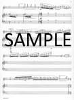 Carmen Fantasy (based on Fantaisie sur "Carmen" by Francis Borne