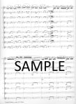 Carmen Fantasy on themes from Bizets Carmen