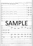 Carmen Fantasy on themes from Bizets Carmen